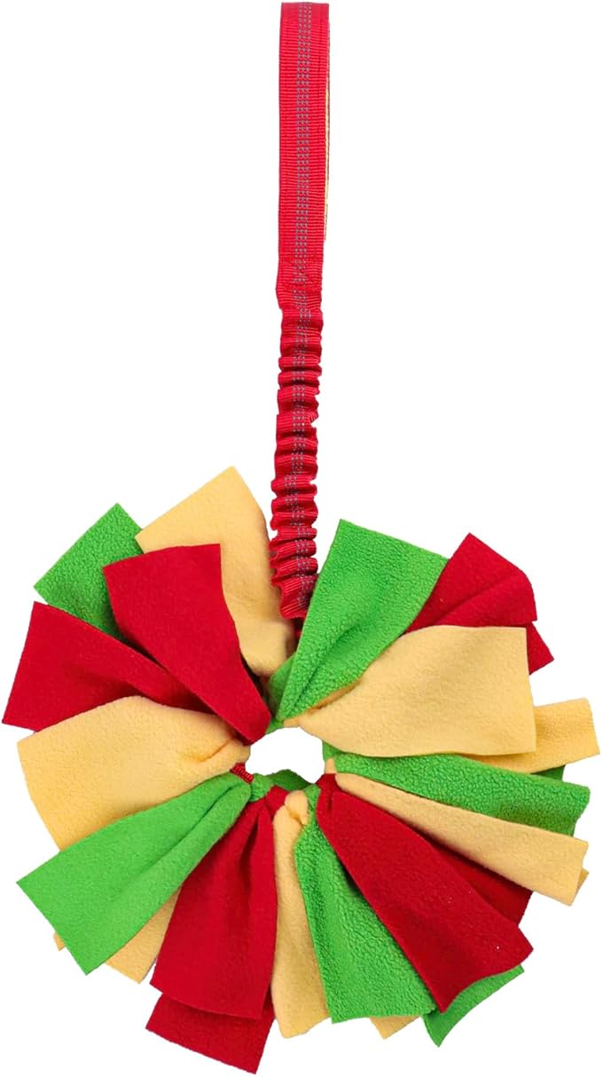 Dog Tug Toy, Bungee Dog Rope Toys, Interactive Tug of War Rope Toys for Training and Playing Games, Puppy Training Pull Toy for Small Medium Dogs