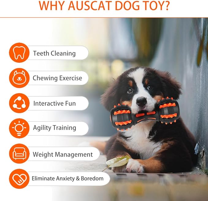 AUSCAT Teething Dog Toys, Durable Squeaky Dog Toys, Rubber Chew Toys for Dogs, Dumbbell Shape, Black (Not for Aggressive chewers)
