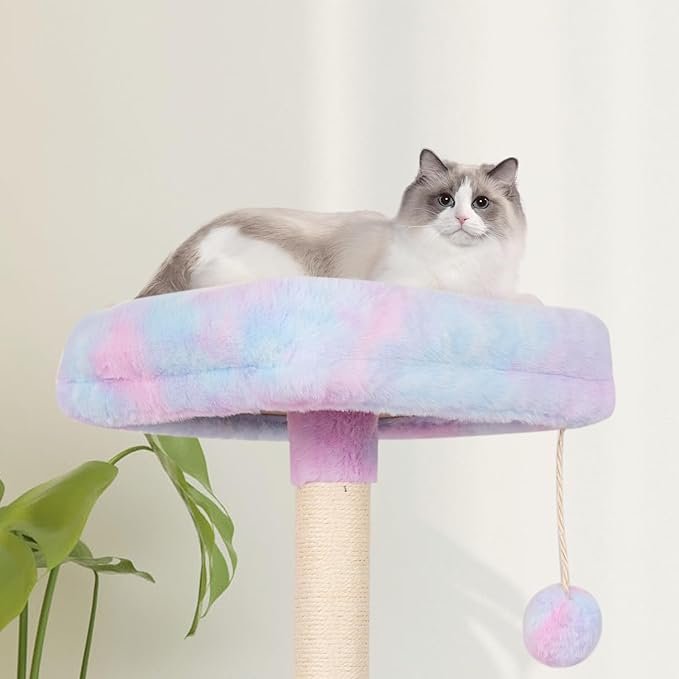 MIAO PAW Rainbow Cute Cat Tree for Indoor Cat Tower with Scratching Post Modern Activity House Hammock Hanging Ball Condo with Board