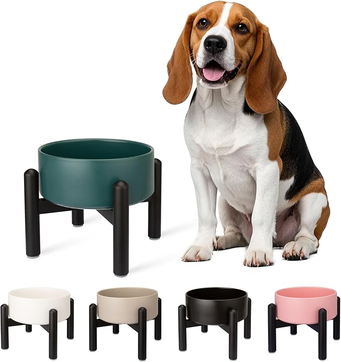 Raised Ceramic Dog Bowl - Elevated Food Water Dish with Stainless Steel Stand - for Small to Medium Dogs - 6 Inch - 2 Cups (28.75 fl oz) - Green