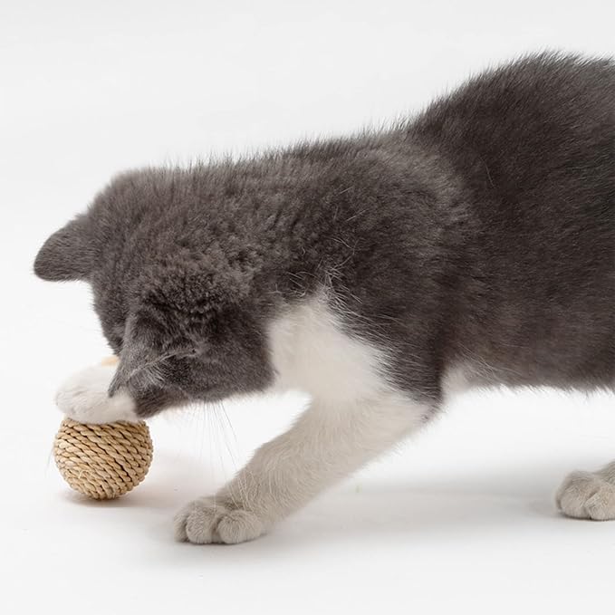 Cute Small Rattan-Ball Cat Toy Built-in-Bell Feather Cute Playing Training Toy For Cat Kitten Puppy Pet Supplies Kitten Toy For Indoor Cat Kitten Toy For Indoor Cat Rattan-ball Kitten Toy For Indoor