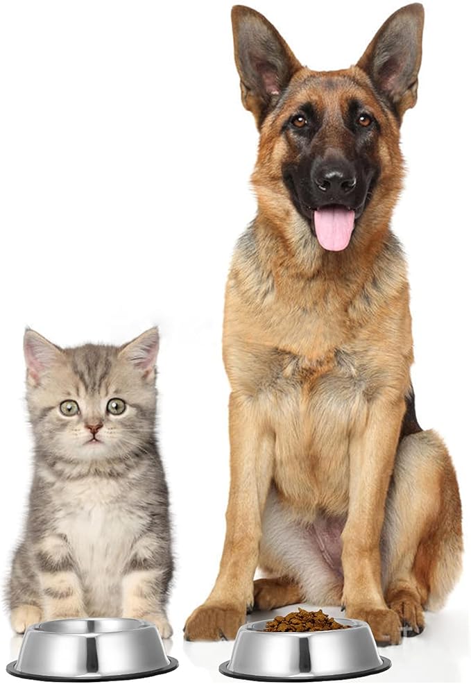 2 Pack Stainless Steel Dog Bowls with Rubber Bottom, Non Skid Non Spill Heavy Duty Premium Quality Pets Feeder Bowls for Dogs and Cats and More (6Cup / 48oz)