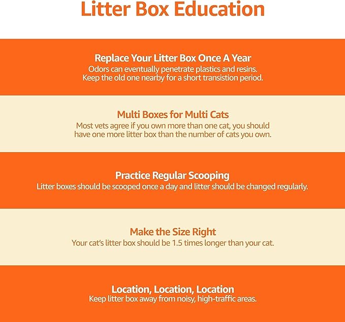 Amazon Basics Large Cat Litter Box with High Sides, Top Entry, Odor Control, Includes Scoop, 20.5 x 14.75 x 14.38 inches, Grey