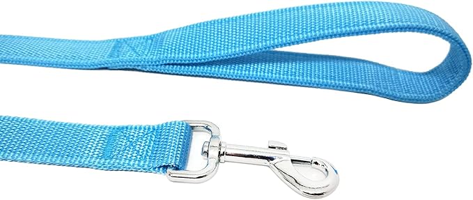 Strong Nylon Dog Leash with 2-Layer, 4 FT/ 6 FT/ 7FT Long, 1 Inch Wide for Medium Large Dogs (Sky Blue, 1'' x 2 FT)