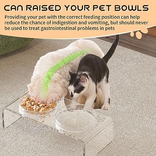 Acrylic Pet Feeder Stand Set for Food Water with 2 Set Glass & Plastic Bowls, Raised Dishes Rack Suitable for Puppies, Kittens and Small Dogs, Clear - Image 3