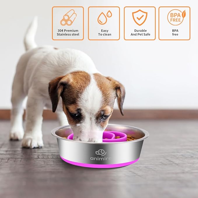 2-in-1 Metal Dog Bowl with Slow Feeder Insert, Stainless Steel Dog Bowls Food Grade 304, Water Food Bowl with Anti-Slip Silicone Base for Small, Medium, Large Dogs