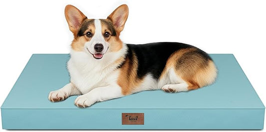 Outdoor Orthopedic Dog Bed, Waterproof Dog Bed for Large Dogs 36x27 Inch, Egg Crate Foam Pet Mat with Washable Removable Oxford Cooling Cover, Light Blue