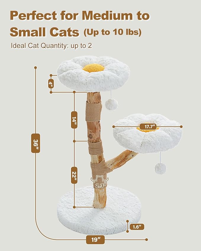 Wood Flower Cat Tree, Modern Cat Tower with Real Wood Branches, Luxury Boho Furniture with Scratching Post and 2 Perches, Cat Climbing Tower for Indoor Cats, Cloud White