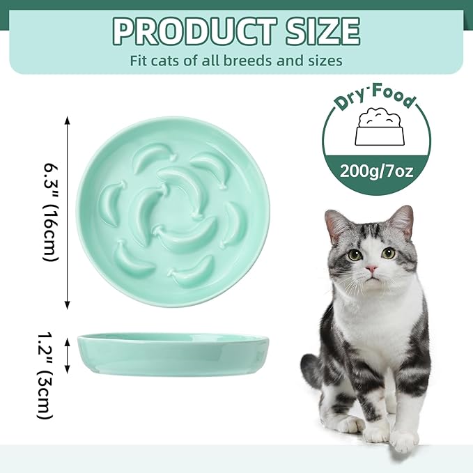Ceramic Cat Slow Feeder Bowl - Pastel Series Cat Plate for Dry and Wet Food - Cute Maze Feeder Dish for Healthy Eating - Dishwasher Safe - 6.3''W x 1.2''H - 7 OZ - Mint Green