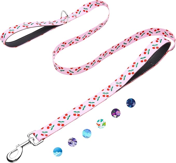 4ft Dog Leash with Two Padded Handles, Heavy Duty Strong Nylon Pet Leash with Soft Neoprene Handle for Small Medium Large Dogs, Cherry