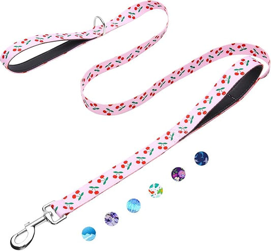 5ft Dog Leash with Two Padded Handles, Heavy Duty Strong Nylon Pet Leash with Soft Neoprene Handle for Small Medium Large Dogs, Cherry