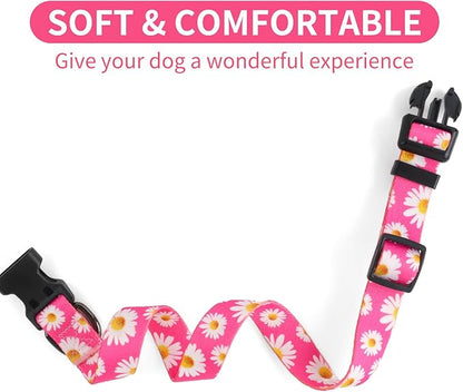 QQPETS Adjustable Soft Dog Collar: Print Flower Pink Multicolor Cute Patterns for XS Small Medium Large Pet Girl Boy Puppy Walking Running Training (XS, Small Daisies)