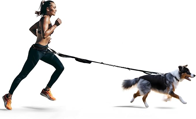 FITLY Dog Running Waist Belt - Dual-Point Force Distribution System - Hands-On-Hips Canicross Harness for Running, Walks, Hikes - Convertible Design with Storage Pouch & Bungee Damper - Nifty Black