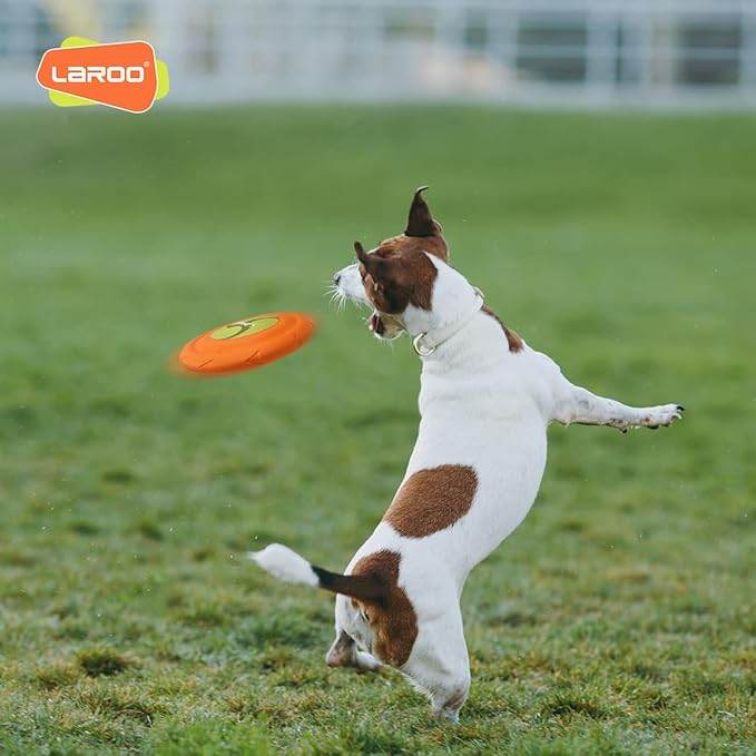 LaRoo Dog Flying Disc, Flying Plate 9.6in Bite Resistant Floating Interactive Tossing Toys, Chew Toy for Training Summer Party Outdoor Playing Puppy Medium Large Dogs Birthday