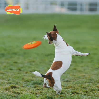 LaRoo Dog Flying Disc, Flying Plate 9.6in Bite Resistant Floating Interactive Tossing Toys, Chew Toy for Training Summer Party Outdoor Playing Puppy Medium Large Dogs Birthday
