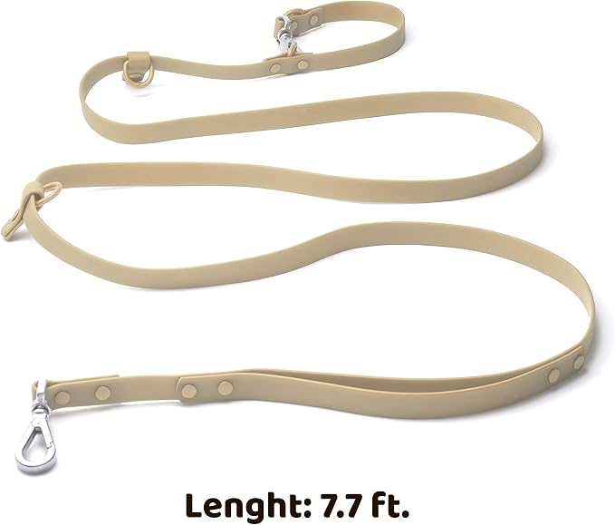 Heavy Duty Hands Free Dog Leash for Medium to Large Dogs for Comfortable Running, Jogging Walking | Dual D-Rings | Soft Padded Traffic Handle | Both Ends 360 Rotating Carabiners (Leash Length 7.7 ft)