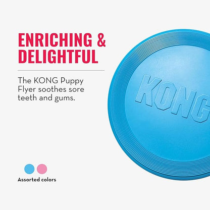 KONG Puppy Flyer - Soft Rubber Flyer Dog Toy - Flying Disc Dog Toy for Puppies - Gentle Rubber Toy for Growing Puppies - for Small Puppies - Randomly Provided Color