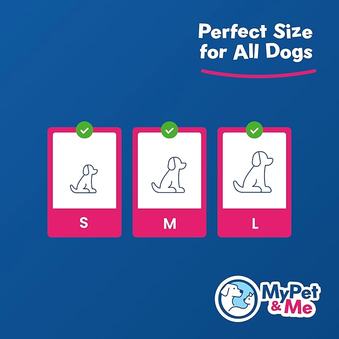 My Pet & Me - Squeaky Dog Toys for Light to Moderate Chewers - Fun Latex Toys for Puppies, Teething, and Gentle Play - Interactive Fetch and Chew Toy with Squeaker