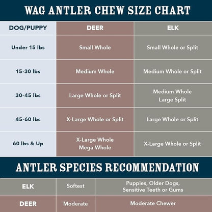 Amazon Brand - Wag Dog Deer Antler Chew, Naturally Shed, Whole, 9 - 10.5 inches, Long Lasting for Aggressive Chewers, X-Large, Best for Dogs over 45 lbs