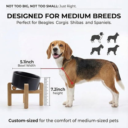 hjn Elevated Ceramic Dog Bowl/Raised Ceramic Dog Bowls with Bamboo Stand, 15°Slanted Raised Pet Feeder for Small Medium Dogs and Cats, Non-Slip Heavy Weighted Design (Black, 3.6Cup)