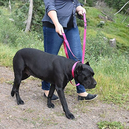 Wagtime Club Heavy Duty Double Handle Dog Leash for Large Medium Small Dogs - Image 7