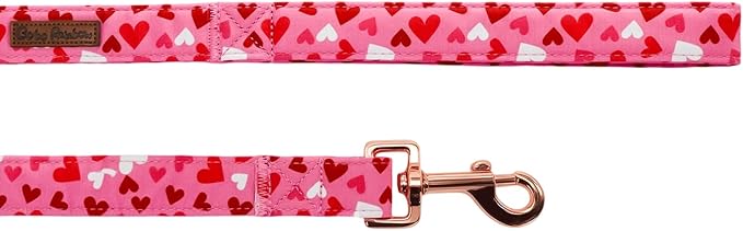 Dog Leash，Valentine's Pink Cute Love Heart Print Pet Leash Comfortable Padded Boy/Girl Durable Heavy Duty Leashes for Small Medium Large Dogs