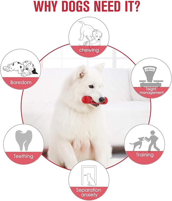 petizer Dog Squeaky Toys for Aggressive Chewers, Tough Toothbrush Dog Chew Toy, Nearly Indestructible Rubber Toys for Pet Training, Teeth Cleaning, Playing and Chewing for Medium & Large Breeds