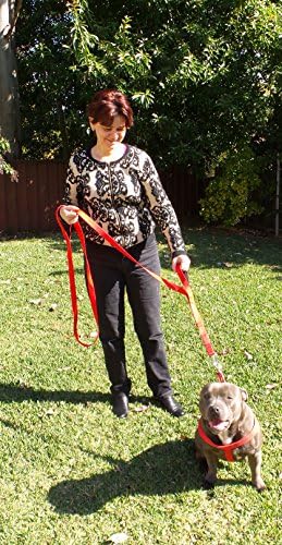 Primal Pet Gear Dog Leash 6ft Long,Traffic Padded Two Handle,Heavy Duty,Reflective Double Handles Lead for Control Safety Training,Leashes for Large Dogs or Medium Dogs,Dual Handles Leads(Red) - Image 4