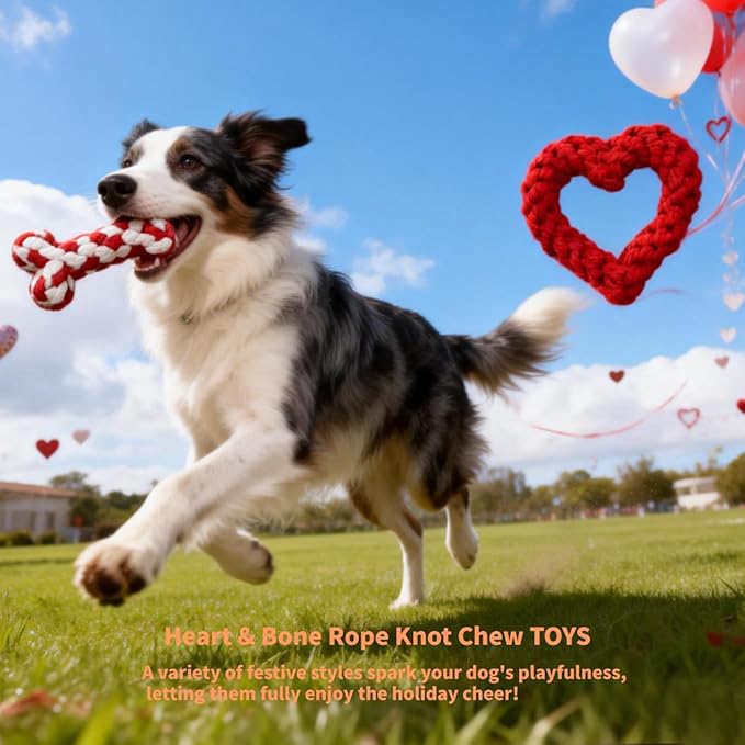 Valentine Dog Toy 2-Pack | Heart&Bone Rope Knot Chew Toys | Durable for Medium Large Dogs with Chewing Behavior | Teeth Cleaning Interactive Toys