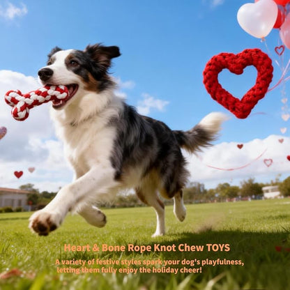 Valentine Dog Toy 2-Pack | Heart&Bone Rope Knot Chew Toys | Durable for Medium Large Dogs with Chewing Behavior | Teeth Cleaning Interactive Toys