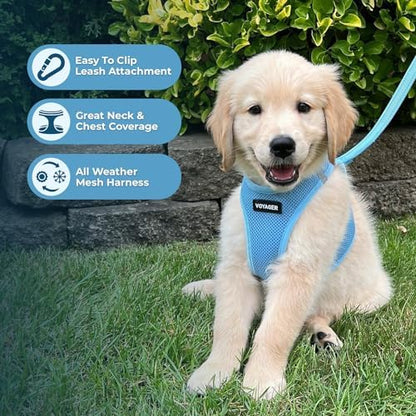 Best Pet Supplies Voyager Step-in Air All Weather Mesh Harness and Reflective Dog 5ft Leash Combo with Neoprene Handle, for Small, Medium and Large Breed Puppies - Baby Blue, Large - Image 5