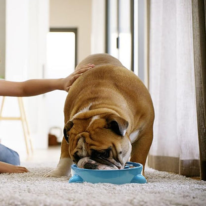 VANNON Slow Feeder Dog Bowls Durable Puzzle Feeder Non Slip Dog Food Dish Bloat Stop Food Bowls for Small Medium Dogs, 3 Cups, BPA Free, Blue