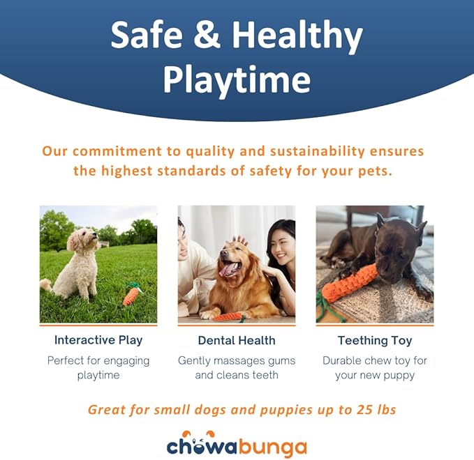 Bucky The Squirrel Dog Toy Handmade Eco Cotton Rope Squirrel Toy for Dogs - Natural, Non-Toxic Dyes, Dog Chew Toys for Small & Medium Breed Dogs, Cats (Small)