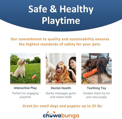 Bucky The Squirrel Dog Toy Handmade Eco Cotton Rope Squirrel Toy for Dogs - Natural, Non-Toxic Dyes, Dog Chew Toys for Small & Medium Breed Dogs, Cats (Small)