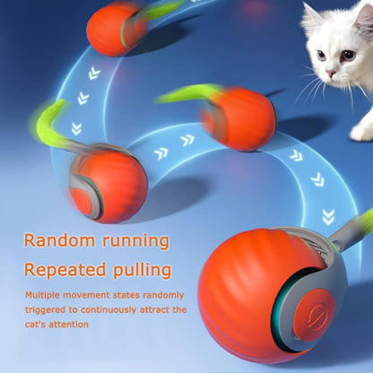 2Packs Speedy 2.0 Tail Cat Toys for Bored Indoor Adult Cats,2025 New Generation Interactive Cat Toys for Indoor Cats,Automatic Moving Ball with Tail,Blue and Orange - Image 4