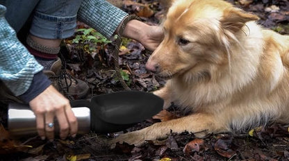 Portable Dog Water Dispenser | Stainless Steel Travel Bottle | Silicone Leaf Shaped Bowl | 27oz Black