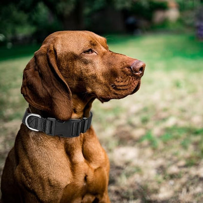 4 Pack Nylon Dog Collars, Classic Adjustable Pet Dog Collar for Small, Medium and Large Dogs, S(Black, Blue, Red, Purple)