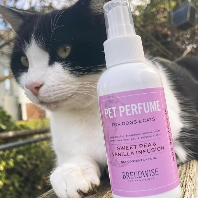 Breedwise Dog Perfume Spray - Sweet Pea & Vanilla Long Lasting Dog Cologne for Odor Neutralizing - Gentle Puppy Deodorizer & Grooming Mist for All Breeds - Made in USA (4 Oz)