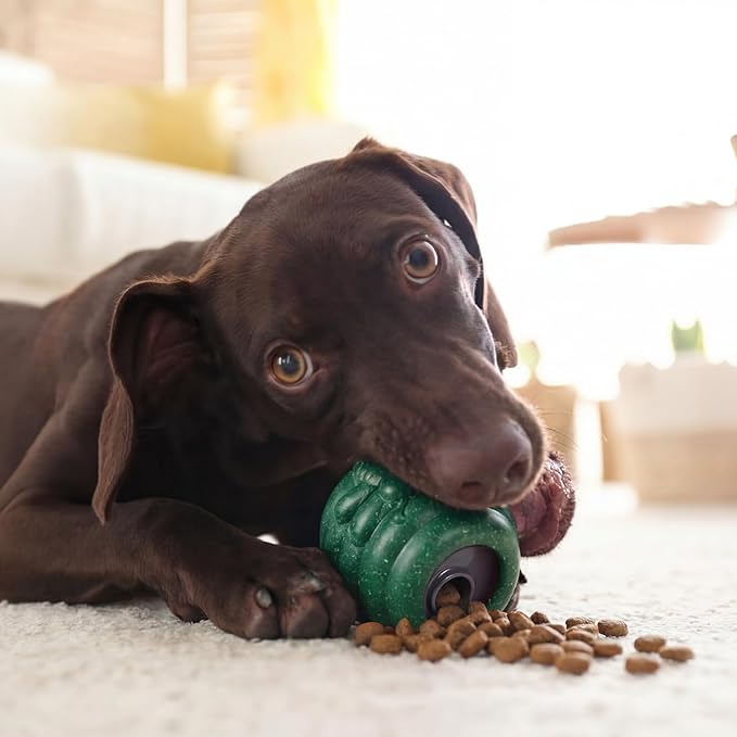 1 Pack Large Dog Toys for Aggressive Chewers, Dog Treat Dispensing Toy to Keep Them Busy, 2-in-1 Fillable Holder with 2 Cups and Food-Dispensing Lids for Large Medium (Green)