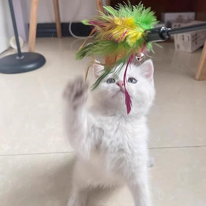 IUHKBH Cat Wand, 4 PCS Interactive Feather Stick Flexible Kitten Wand Safe Cat Teaser Wand for Indoor, All Breed Sizes