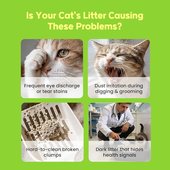 100% Cassava Cat Litter, Natural Clumping Litter, Dust-Free, Super Clumping, Soft Texture, Mixable with Crystal cat Litter,I'm Gonna Pee(5.7lb x 1pack)