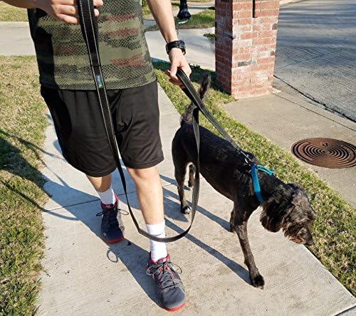 Wagtime Club Heavy Duty Double Handle Dog Leash for Large Medium Small Dogs - Image 6