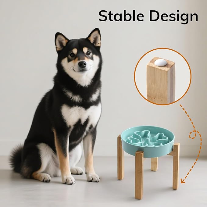 Slow Feeder,Ceramic-Slow Feeder Dog Bowls Elevated for Medium Breed,2.5 Cups Slow Feed Dog Bowl with Stand,Turquoise