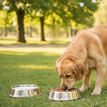 2 Pack Stainless Steel Dog Bowls – 16 fl oz Anti-Skid Food & Water Bowls for Small Dogs, Puppies & Cats|Dog Food & Water Bowl|Dog Feeding Bowl (Silver)