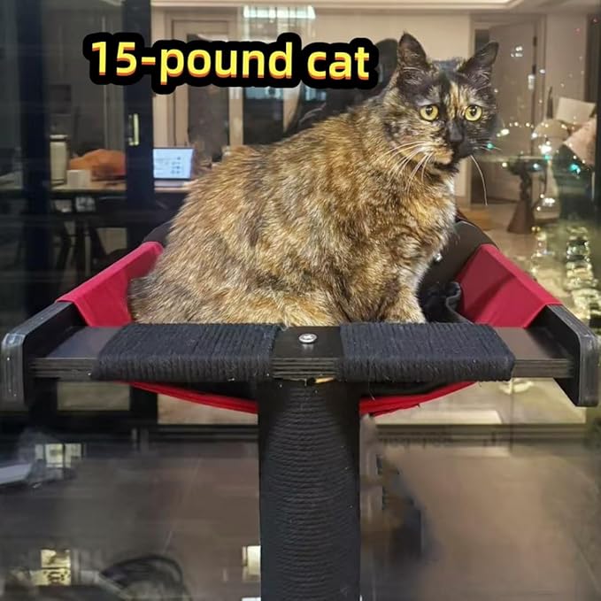 Cat Window Perch with Scratching Post Strong Supported - Large Hammock Bed for Cats Inside - Solid Wood Seat, Soft Cushion - Rustic Indoor Cat Tree Shelf for Sunbathing (Black, Large 2)