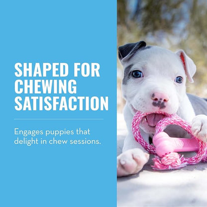 KONG Puppy Goodie Bone with Rope - Natural Rubber Bone with Cotton Rope - Teeth Cleaning Chew Toy for Growing Puppies - for XS Puppies - Pink