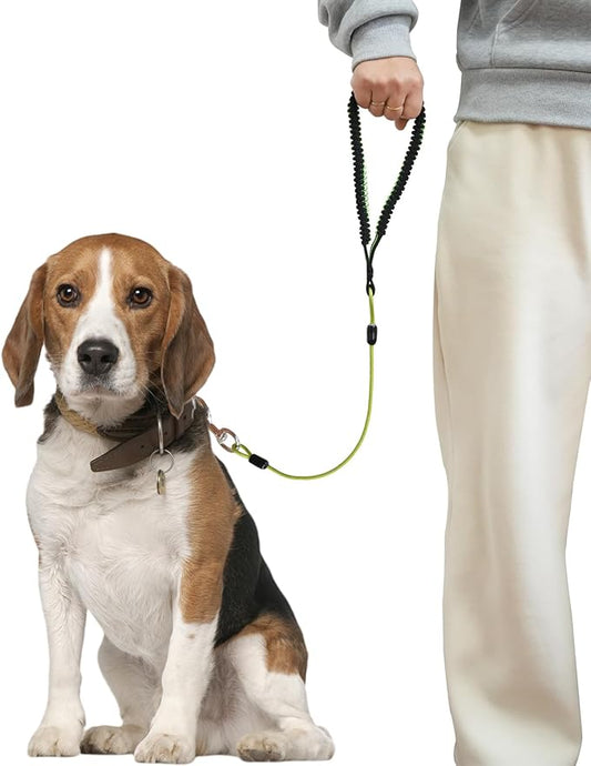Heavy Duty Dog Leash, Chew Proof Metal Leash for Large Dogs (Up to 250lbs), WireRope Dog Leashes with Soft Silicone Grip (Green, 3 FT)