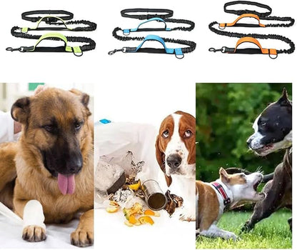Hands Free Dog Running Leash, Pet Leash Outdoor Running Reflective with Adjustable Waist Belt, Near Far Double Handle, Dog Chain Leash for Walking, Jogging and Running (Lake Blue)