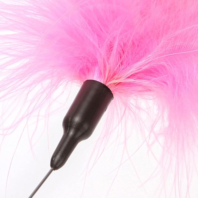 Cat Feather Toy with Collar - Indoor Amusing Teaser Self-Teasing Toy