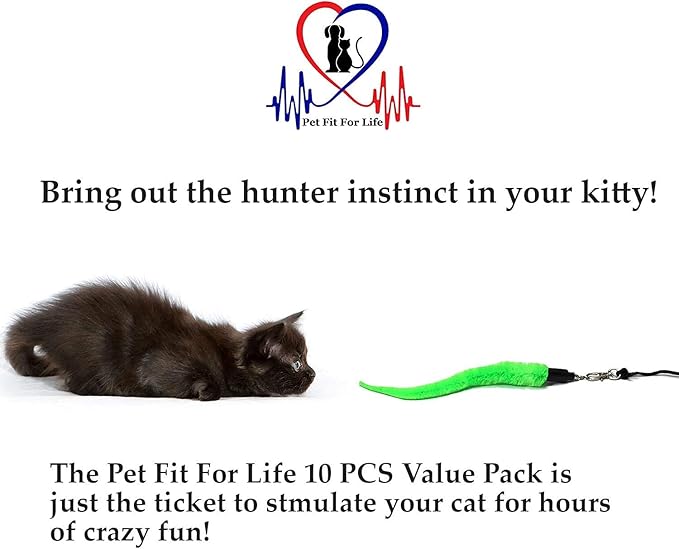 Pet Fit For Life - 10 Piece Kitten Toy Refill Pack - Replacement for Indoor Cat's Interactive Wand and Catch Wand - Features 5 Squiggly Worms and 5 Furry Mouse Feather Attachments